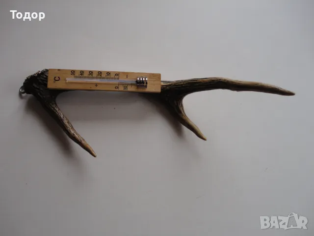 Ловен термометър еленов рог , снимка 6 - Антикварни и старинни предмети - 50287698