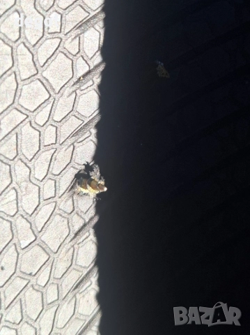 Continental Premium Contact7 225 45 17 91V Dot 5323 Забележки прочети!, снимка 13 - Гуми и джанти - 51561556