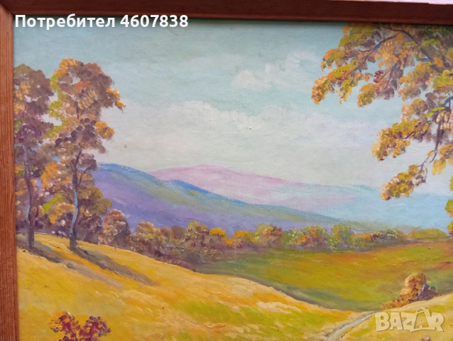 Картина 71-52 см, снимка 3 - Картини - 51960976