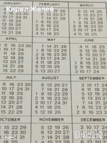 Старо календарче на което е изобразена Диско секс символа САБРИНА САЛЕРНО за КОЛЕКЦИЯ 35371, снимка 6 - Колекции - 51218061