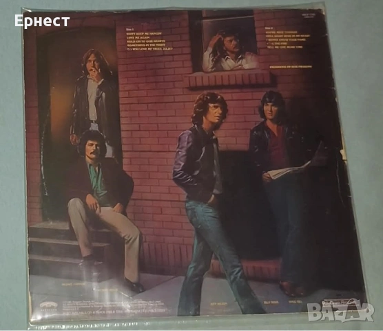 Грамофонни плочи 70-тарски рок и смес със саурърн рок, снимка 8 - Грамофонни плочи - 32572101