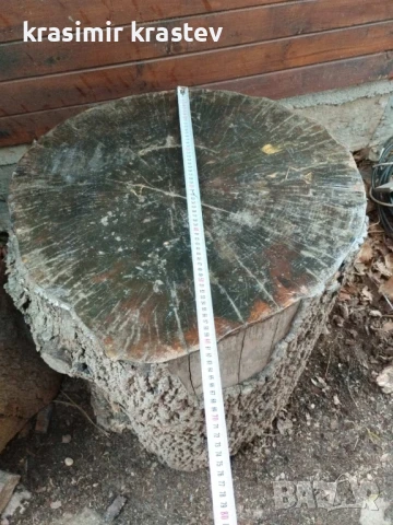продавам пънове, дървени дънери, снимка 3 - Декорация за дома - 50477499