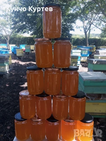 Продавам пчелен мед - кориандър, снимка 2 - За пчели - 50888762