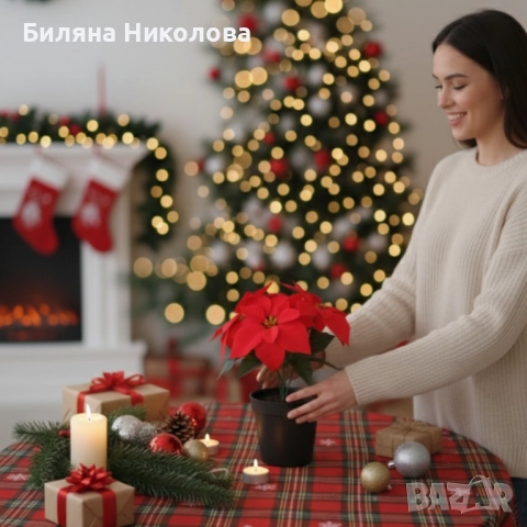 Вечна празнична Коледна звезда – реалистична украса, снимка 4 - Декорация за дома - 52467437