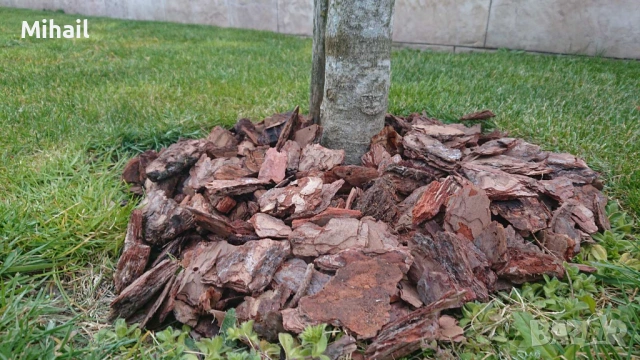 Боров чипс/ боров мулч 10.50Е