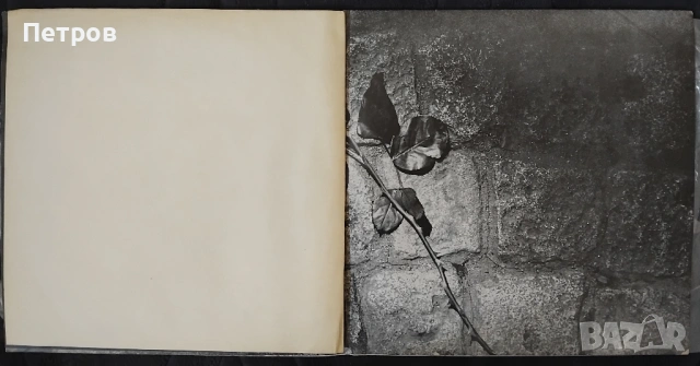 Албум двоен. Обичам те. Лили Иванова, снимка 2 - Грамофонни плочи - 53998495