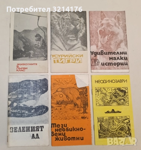 Усурийски тигри - Игор Благовидов