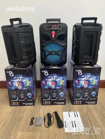 Караоке тонколона NDR-P55, 8", активна, вграден усилвател, 1 жичен микрофон, ДУ, 20W, снимка 3 - Тонколони - 49939937