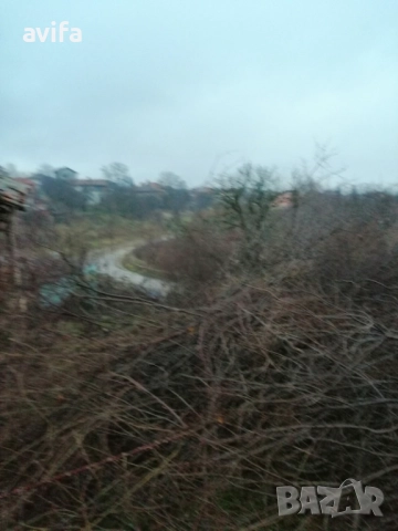 Парцел със стара къща в село Байлово, снимка 5 - Парцели - 52514791