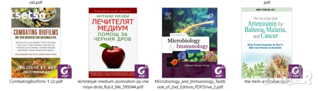 Лечителят Медиум, Детоксикацията,Тихите убийци на мозъка,Мухъл и др., снимка 2 - Енциклопедии, справочници - 43849937
