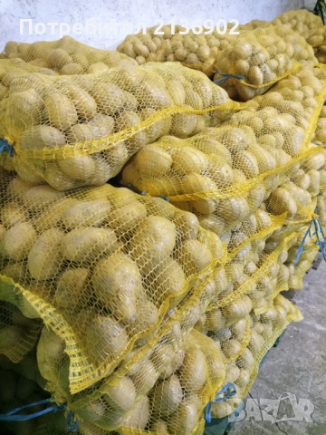 Картофи за консумация Сорая, снимка 2 - Домашни продукти - 52327531