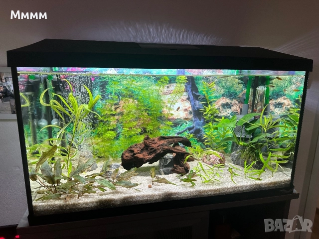 Aquael Leddy Day&Night Plus 75 105литра, снимка 4 - Аквариуми - 52939939