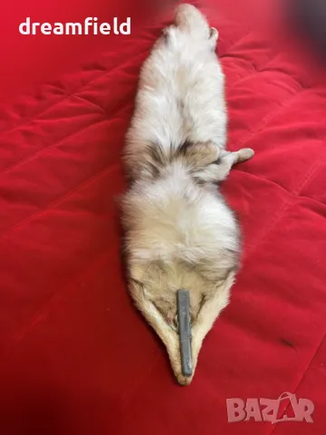 Сребърна лисица-ЯКИ- различни цветове, снимка 2 - Шалове - 50317077