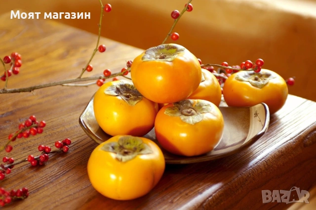 Райска ябълка 4 вида