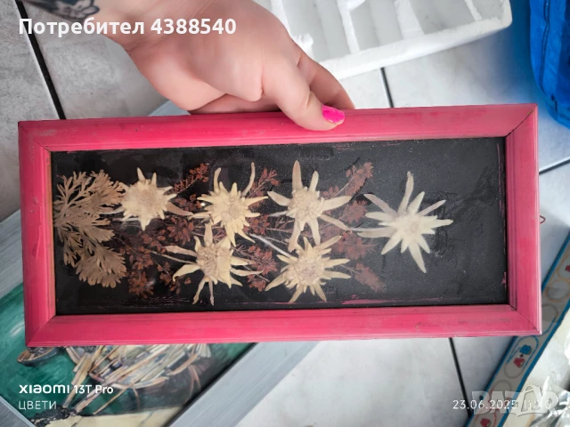 Картини, снимка 7 - Картини - 50767028