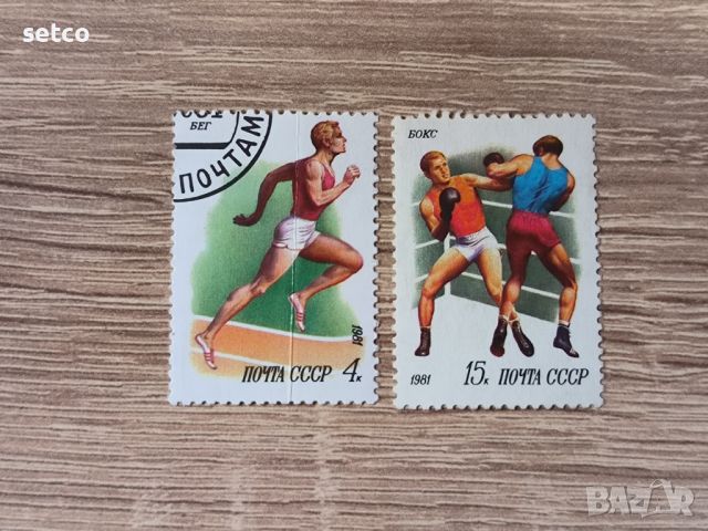 СССР спорт 1981 г., снимка 1 - Филателия - 46366100