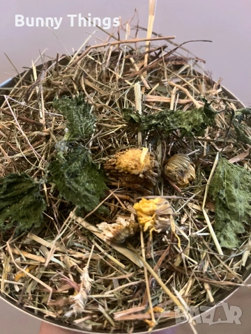 Сено, снимка 4 - Декоративни зайчета - 53407731