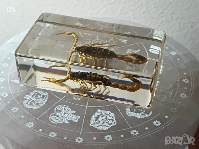 Сувенир скорпион , снимка 2 - Декорация за дома - 52639874