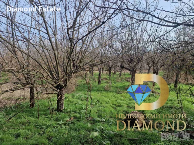 Парцел в село Троян, общ. Симеоновград, снимка 9 - Парцели - 53046100