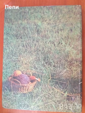 Книга за плетиво, снимка 4 - Специализирана литература - 51281826