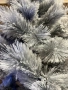Сива Коледна елха, снимка 2