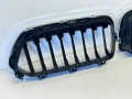 решетка бъбреци BMW F39 X2 model 2018-2023  г. #1075V., снимка 4