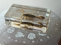 Сувенир скорпион , снимка 2