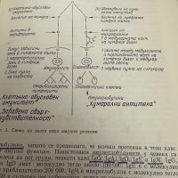 Имунология в клиничната медицина Ж.Л.Търк, снимка 4 - Специализирана литература - 45287305