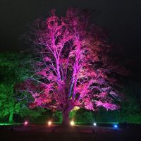 Интелигентен LED прожектор с дистанционно, 100W, различен цвят светлини (multicolor), снимка 3 - Други - 45470078