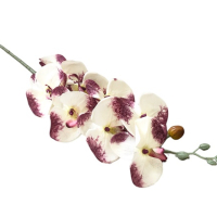 Стрък страхотна декоративна Орхидея//90 см.//цвят крем, снимка 3 - Изкуствени цветя - 44950635