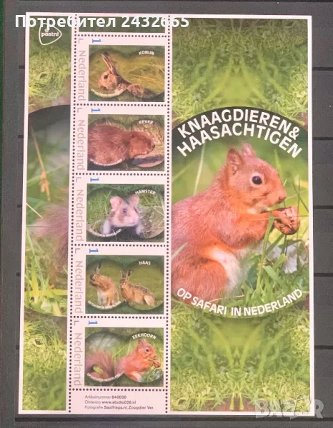 2117. Нидерландия 2024 = “ Фауна. На сафари в Холандия : Гризачи и зайци.“, MNH, **, снимка 1