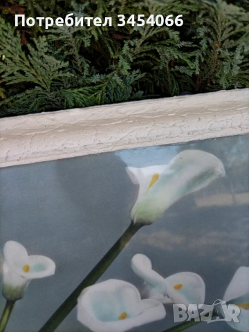 Стари картини, снимка 4 - Други ценни предмети - 51504973