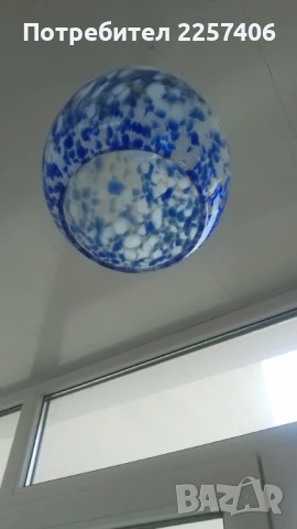 Полилей, снимка 4 - Полилеи - 51248814