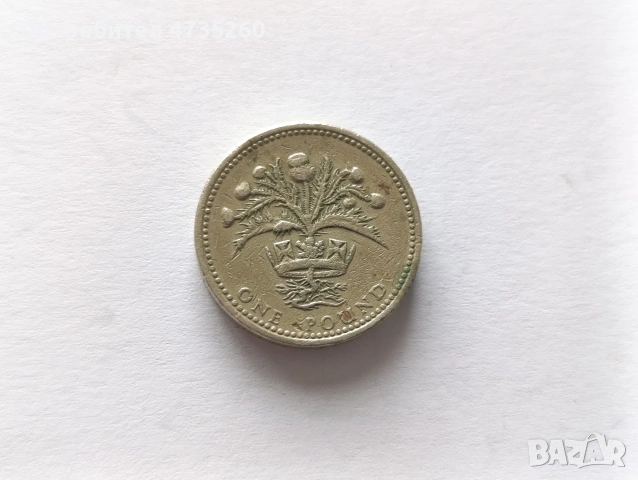 Монета 1 паунд 1989 рядка , снимка 3 - Нумизматика и бонистика - 53454077