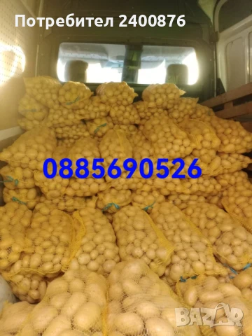 Продавам картофи