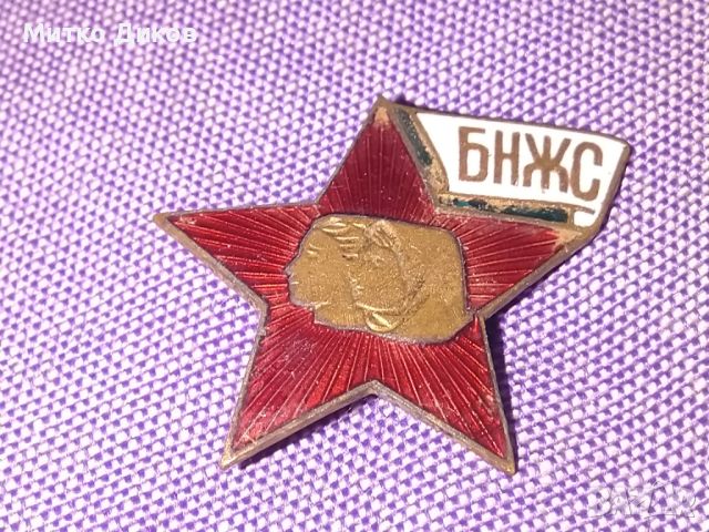 БНЖС женски съюз значка емайл, снимка 1 - Колекции - 45546116