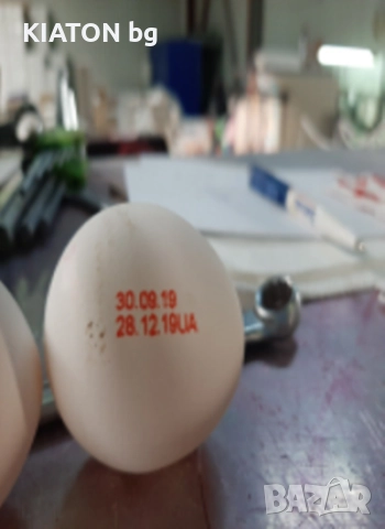 Мастилено струен принтер MARK HP150S, снимка 2 - Други машини и части - 51660355