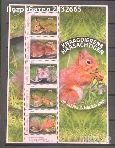 2117. Нидерландия 2024 = “ Фауна. На сафари в Холандия : Гризачи и зайци.“, MNH, **