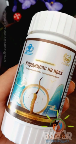 Кордицепс на прах -100 броя капсули
