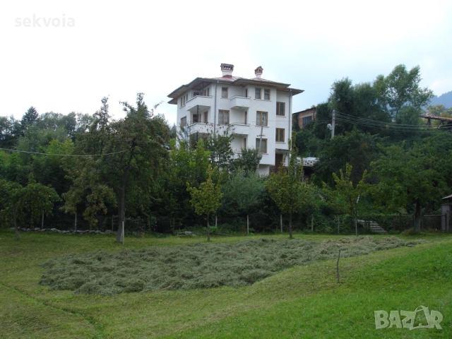 Посрещнете Нова година в сърцето на Родопите!, снимка 3 - Празнични оферти - 52202205