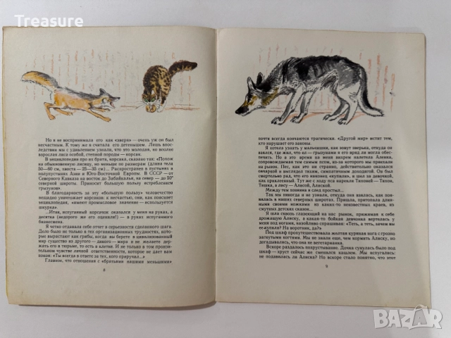 Алиска - Юлия Друнина, снимка 6 - Детски книжки - 48752557