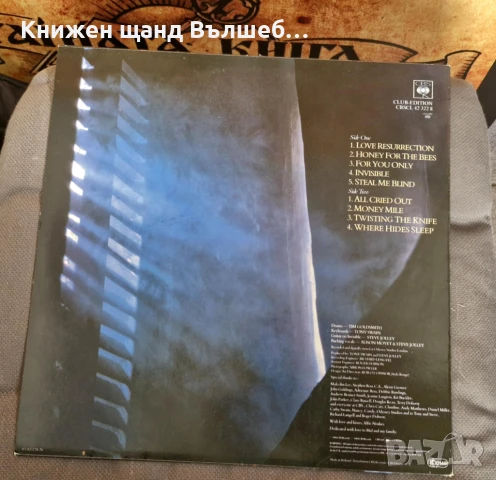 Грамофонни Плочи - Поп - Рок: Alison Moyet - Alf, снимка 2 - Грамофонни плочи - 51224584