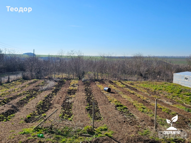 Самосвал дървесен чипс за мулчиране и почвено подхранване, снимка 10 - Тор и почвени смеси - 52252656