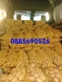 Продавам картофи, снимка 1