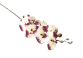 Стрък страхотна декоративна Орхидея//90 см.//двуцветна, снимка 2