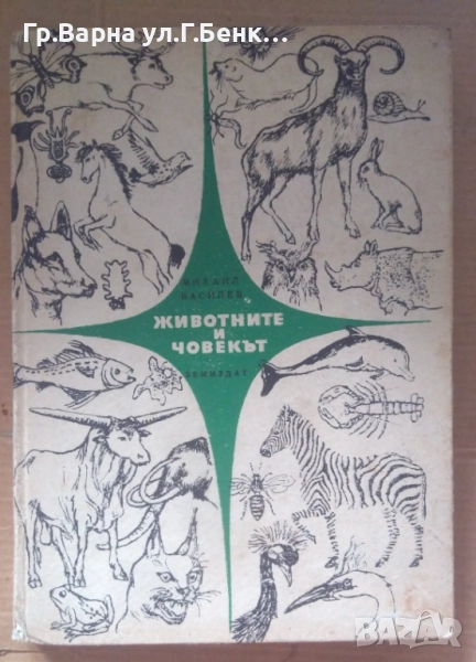 Животните и човекът  Михаил Василев 6лв, снимка 1