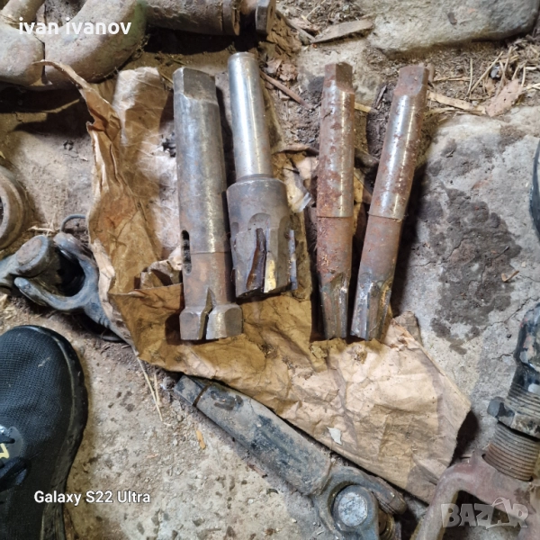 Фрези с Морзови Опашки , снимка 1