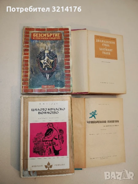Безсмъртие и сексуален синдром - Олег Черне, снимка 1