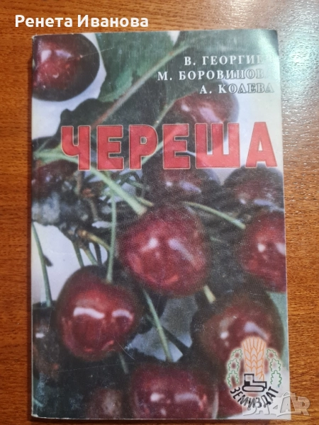 Череша , снимка 1