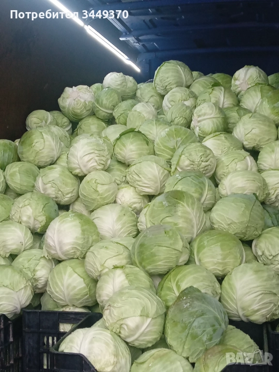 Продавам зеле, снимка 1